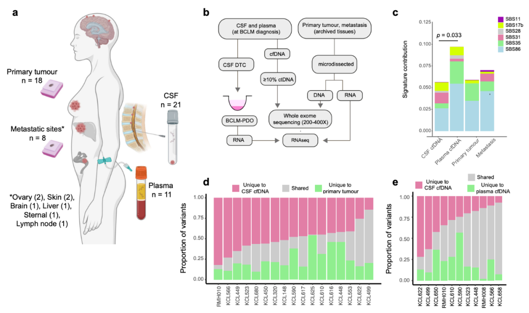 Nature子刊：患者來源的類器官，為乳腺癌腦轉移帶來新見解